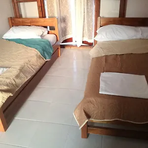 https://house-nativa.hotelschalkidiki.net